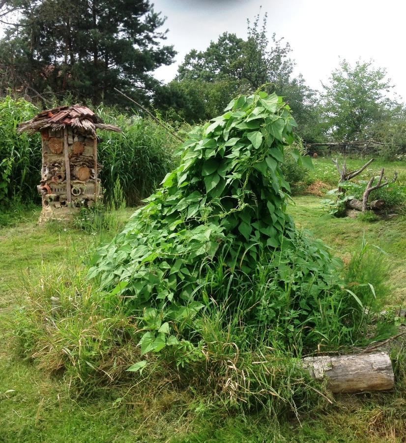 Biohof Am Turawa-See Szczedrzyk Luaran gambar
