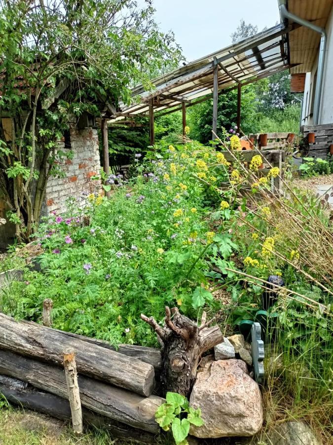 Biohof Am Turawa-See Szczedrzyk Luaran gambar