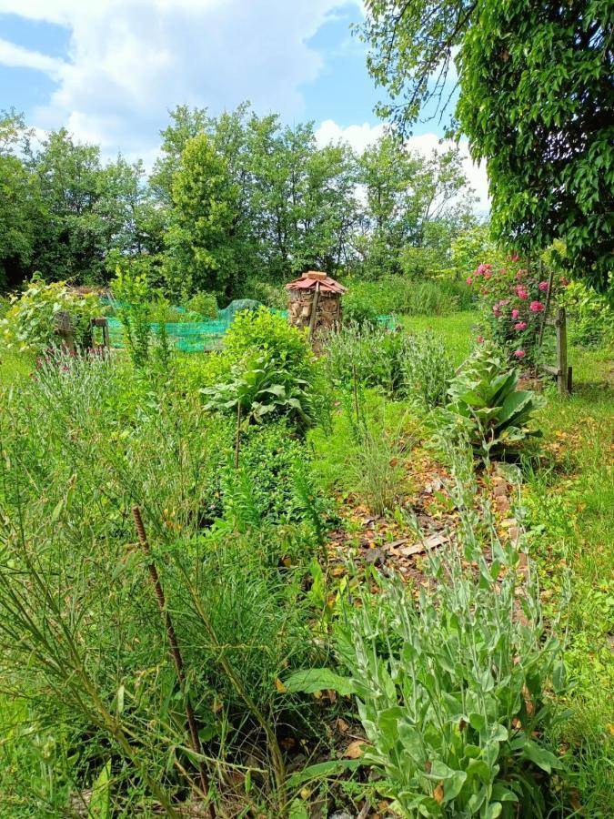 Biohof Am Turawa-See Szczedrzyk Luaran gambar