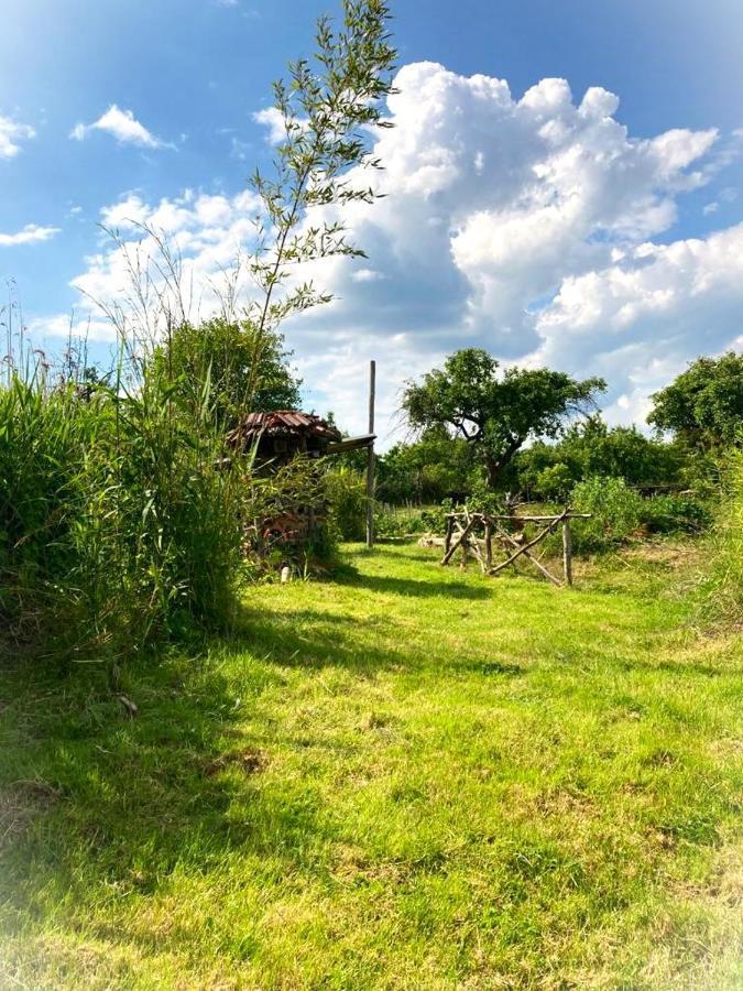 Biohof Am Turawa-See Szczedrzyk Luaran gambar